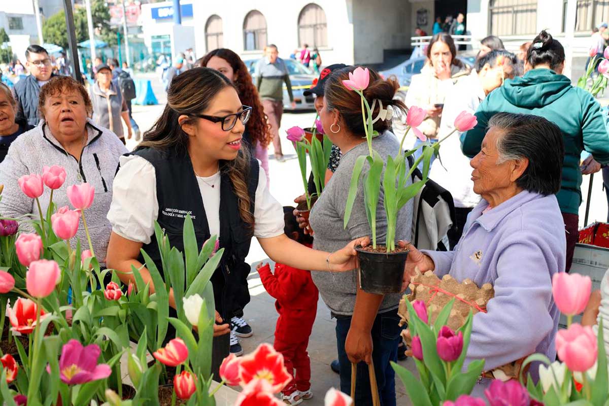 El gobierno de Huixquilucan regala plantas a la población.