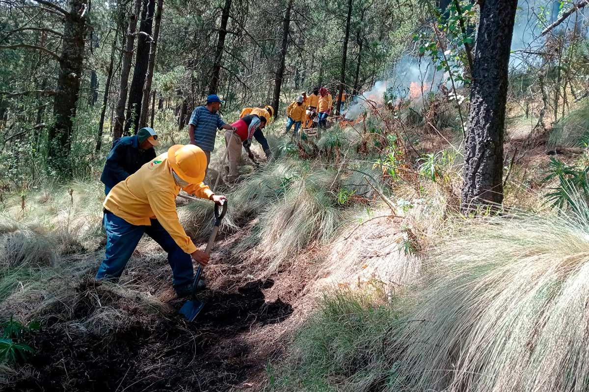 Toluca emite recomendaciones para prevenir incendios forestales