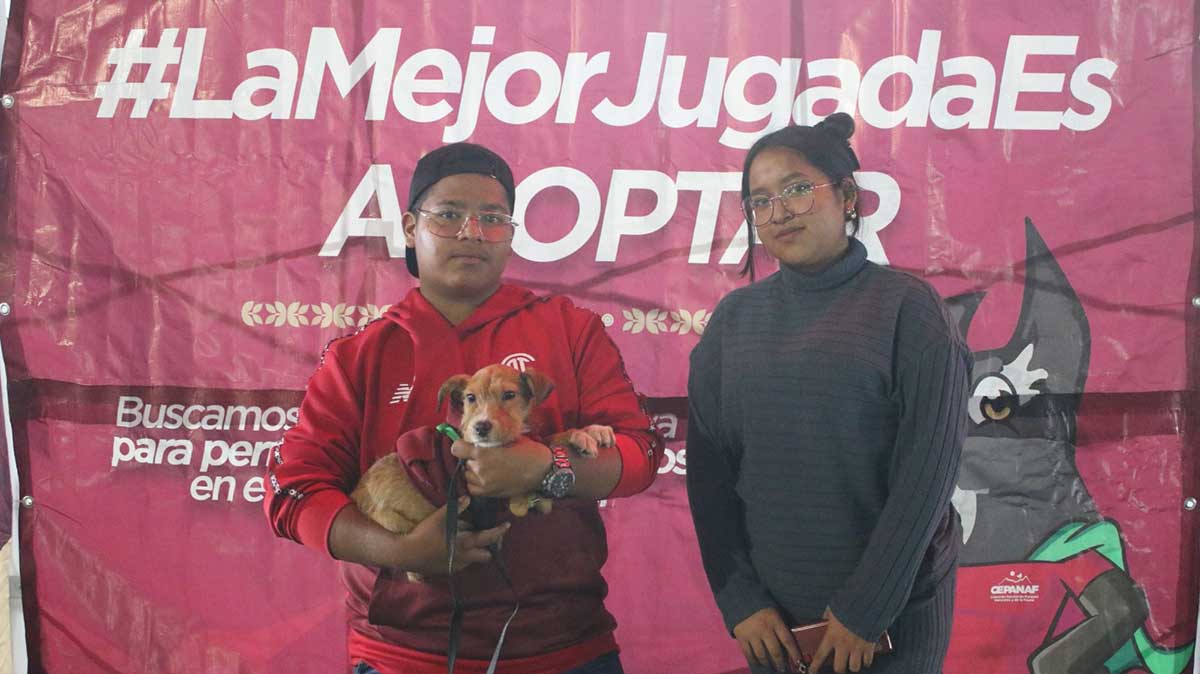 Adopción de perritos con la campaña "La Mejor Jugada es Adoptar" por el gobierno del Estado de México.