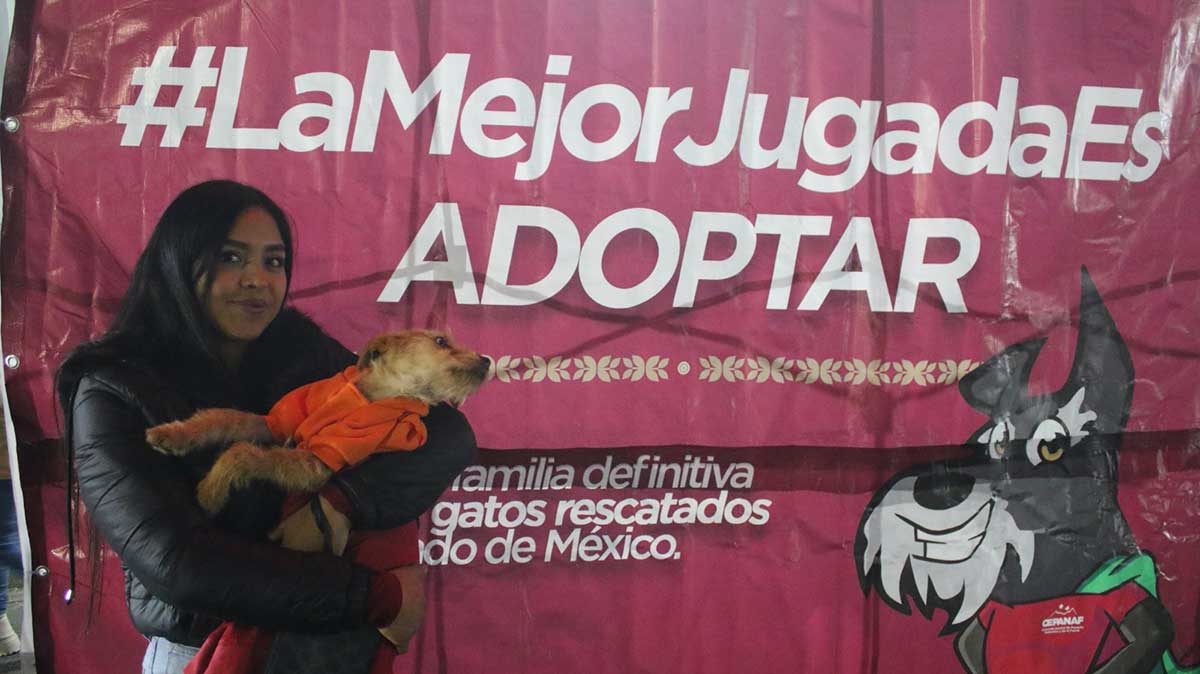 Adopción de perritos con la campaña "La Mejor Jugada es Adoptar" por el gobierno del Estado de México.