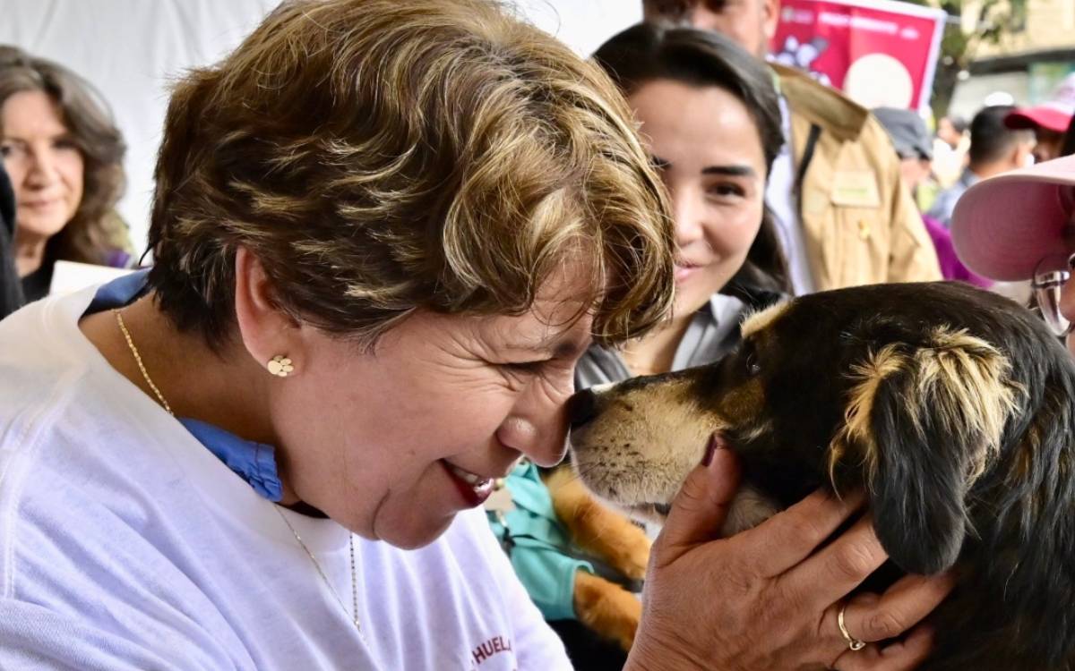 delfina aumenta bienestar animal en edomex 2024 2025