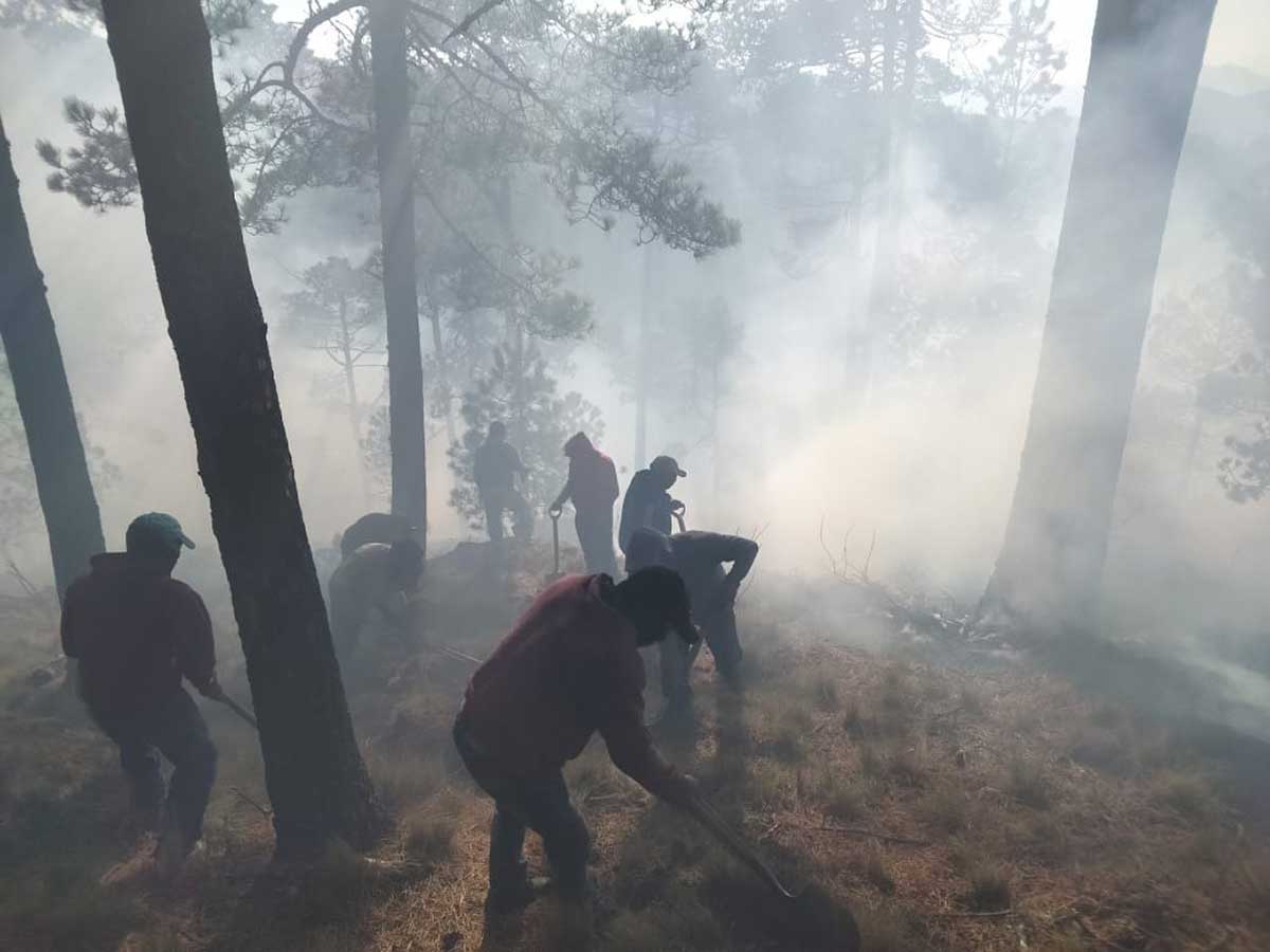 Combaten incendio forestal en las faldas del Nevado de Toluca