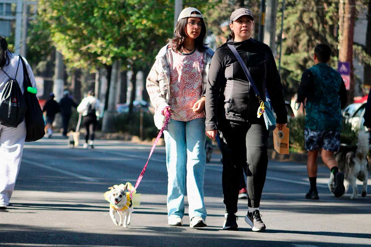 Toluca lleva a cabo la Caminata Perrona.