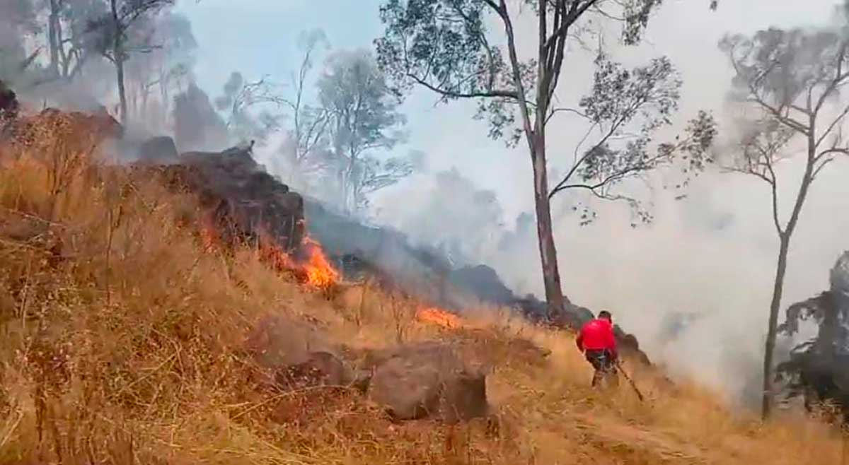 Bomberos de Toluca sofocan incendio en La Teresona