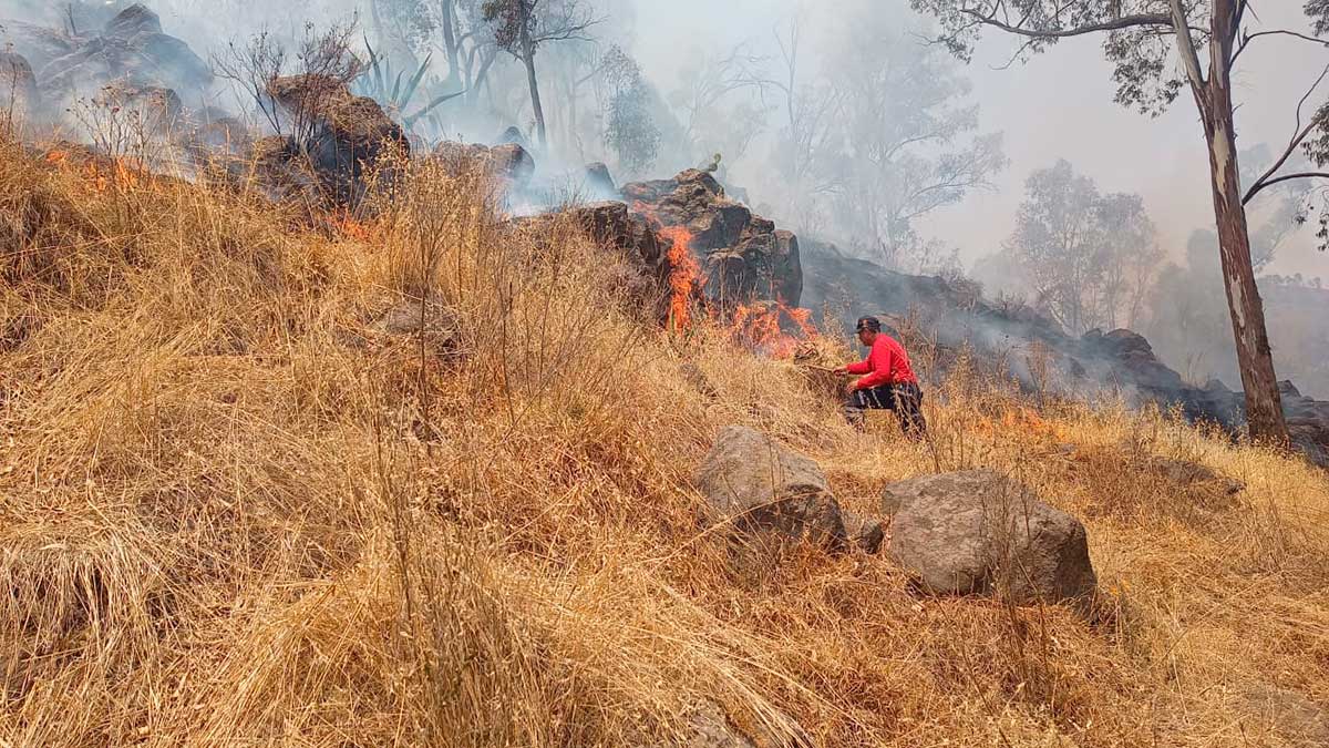 Bomberos de toluca combaten incendio en el cerro de la Teresona.