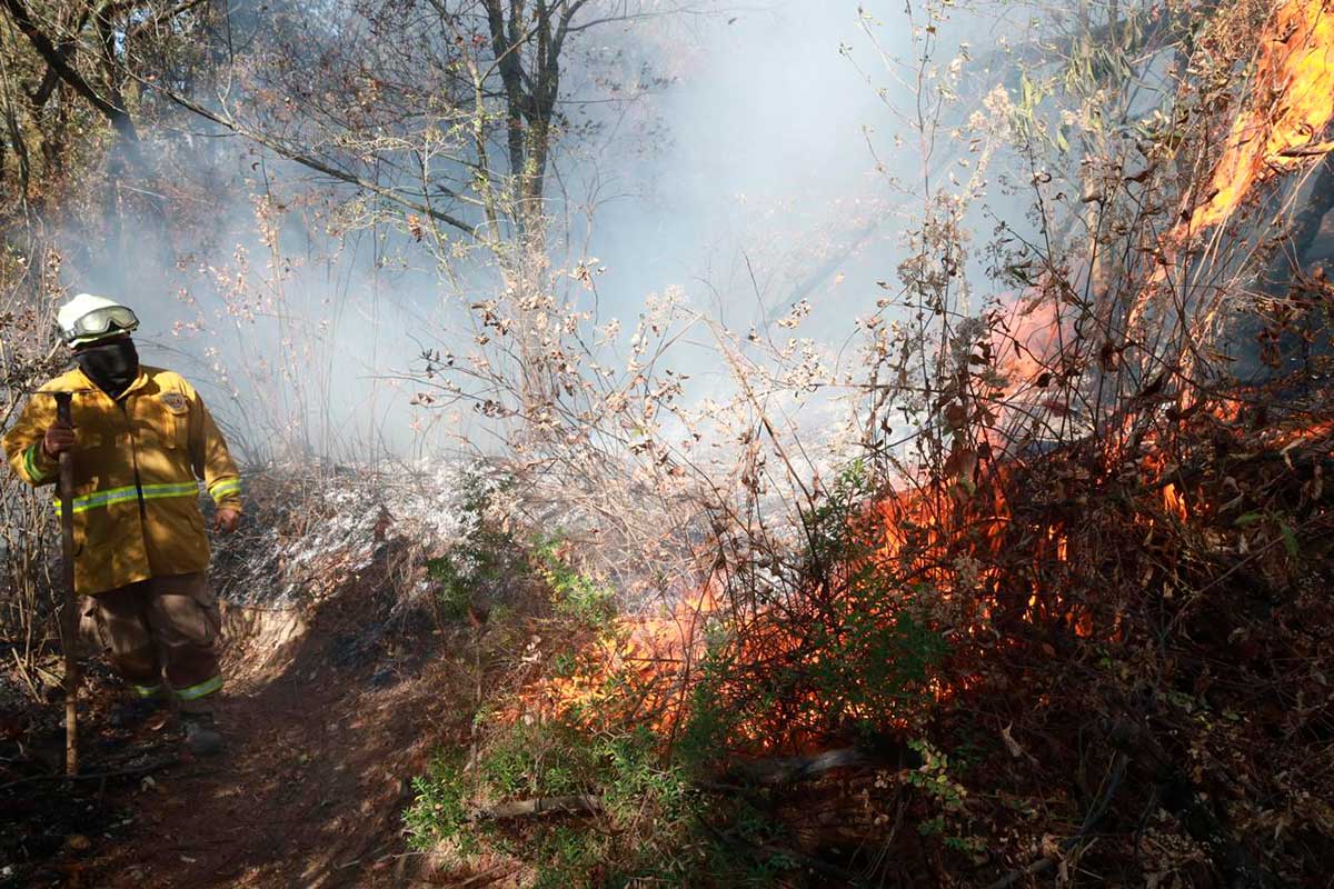 Huixquilucan refuerza protección contra incendios forestales con más de 2 km de brechas cortafuego