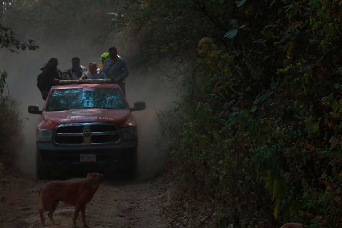El gobierno de Huixquilucan habilita brechas cortafuegos para protegerse de incendios forestales.