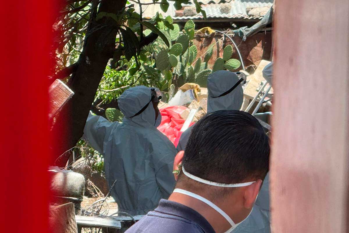 Investigan albergue irregular de perros en Mexicaltzingo por presunto maltrato animal
