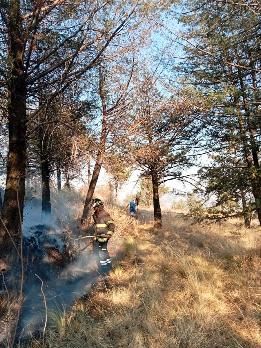 Toluca combate incendios forestales.