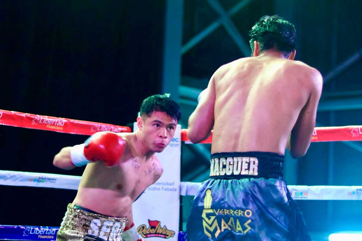 ¡Próximamente! La Escuela Municipal de Boxeo de Metepec abrirá sus puertas en dos semanas