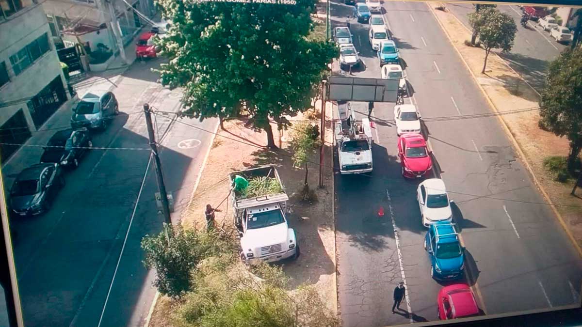 Toluca da mantenimiento a cámaras de vigilancia y poda árboles en vialidades para el mejoramiento de la visibilidad.