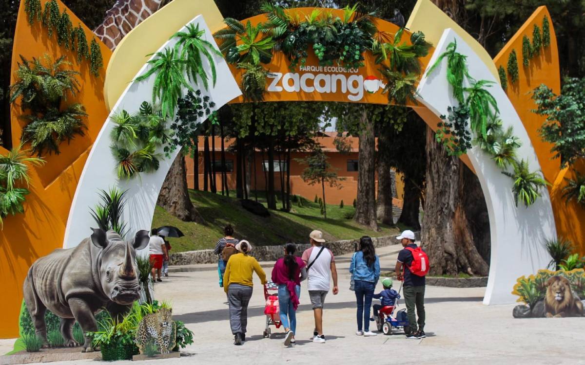 actividades semana santa 2025 en zacango