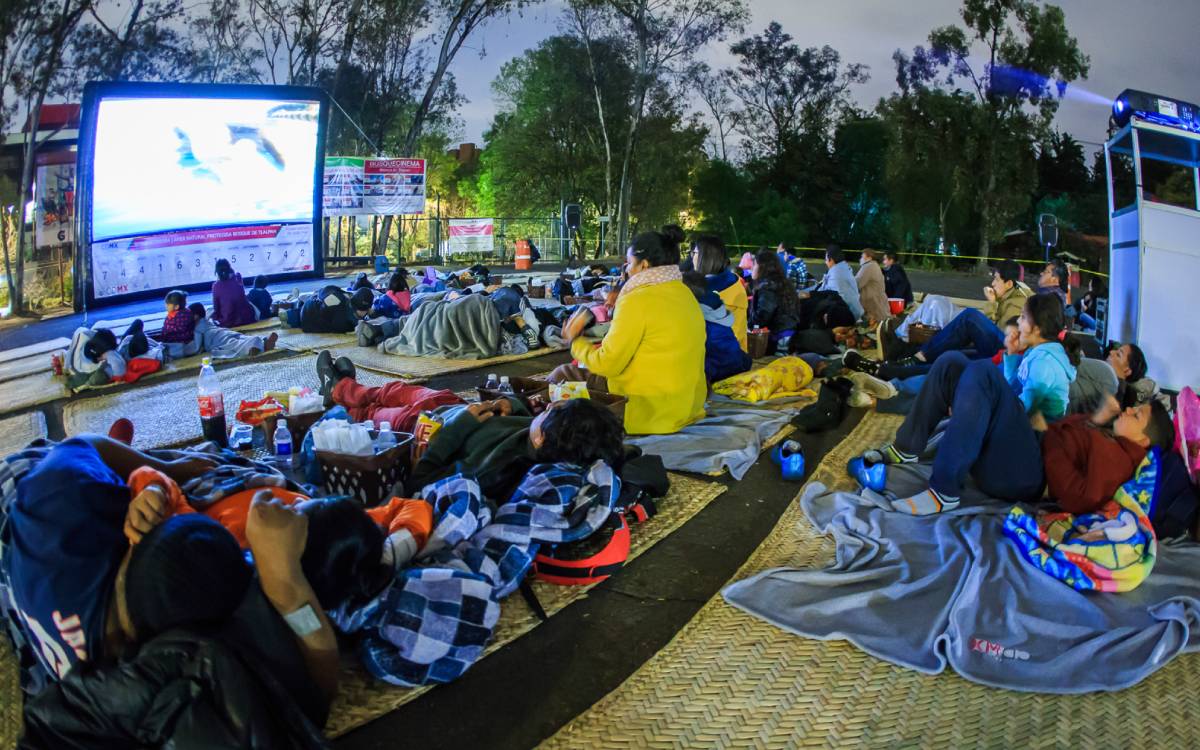 cine al aire libre en san mateo atenco