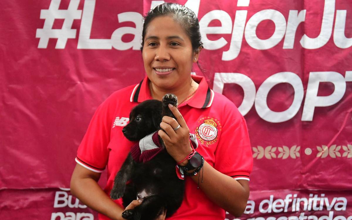 aficionada toluca fc adopta perrito de campaña la mejor jugada es adoptar