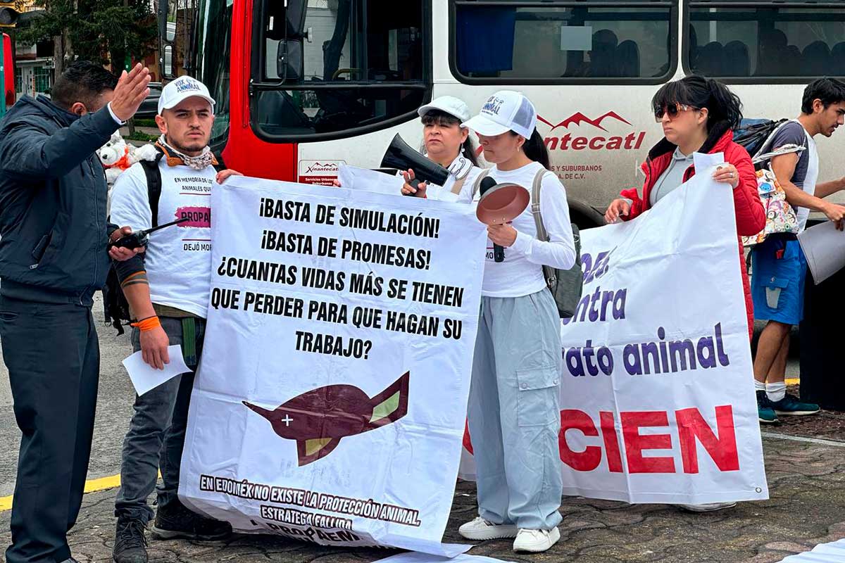 Colectivos en la defensa de los animales denuncian ineficiencia de la Propaem.