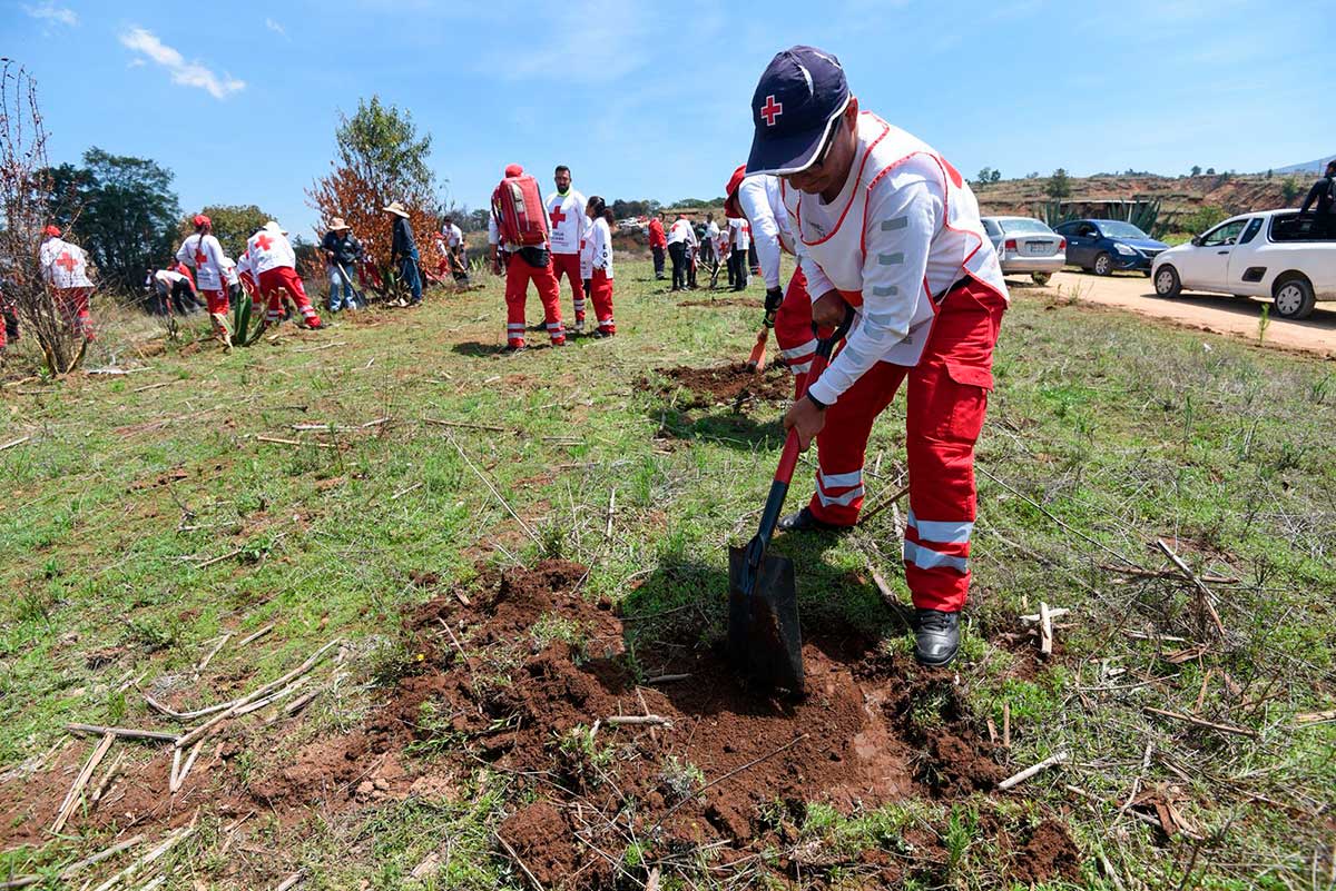 Voluntarios participan en reforestación con motivo del Día Mundial del Medio Ambiente.