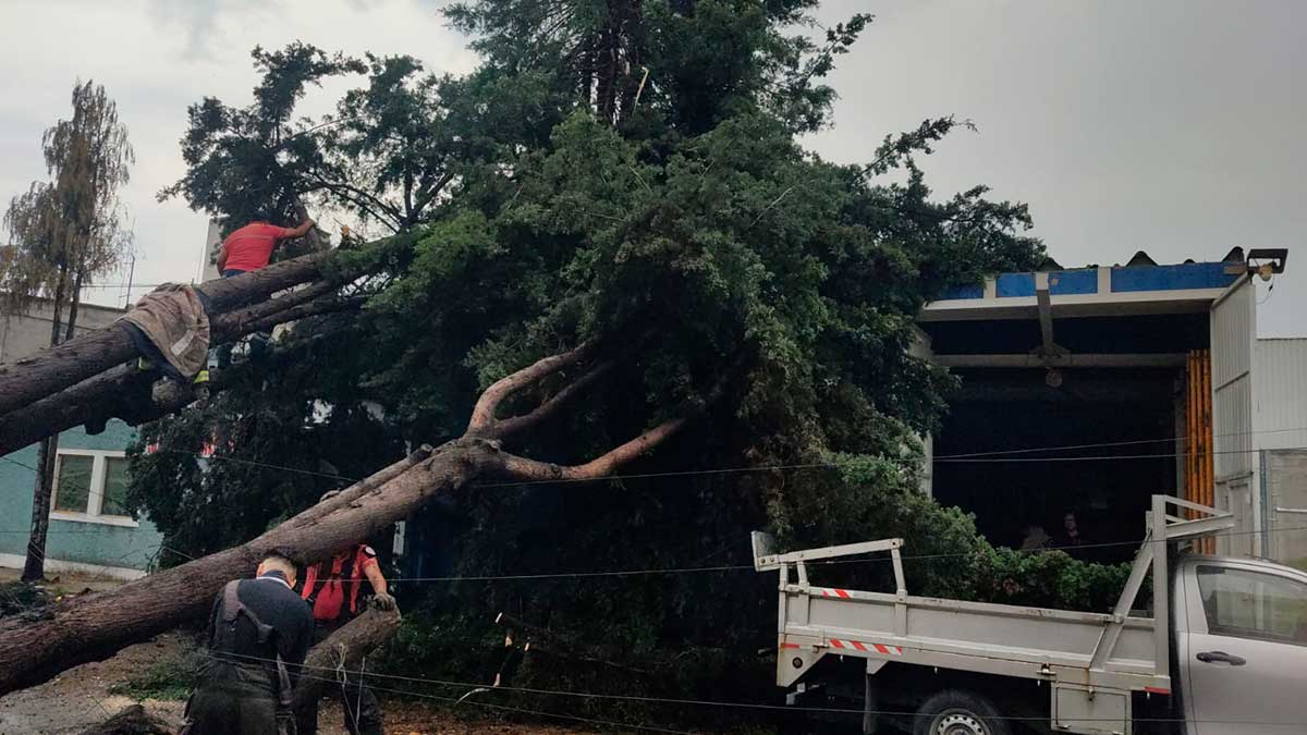 Gobierno de Toluca atiende afectaciones por lluvias en zona poniente