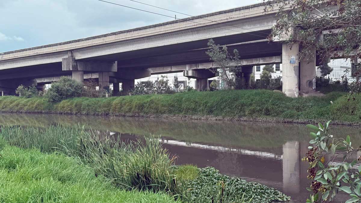 Trabajos de desazolve del Río Lerma.