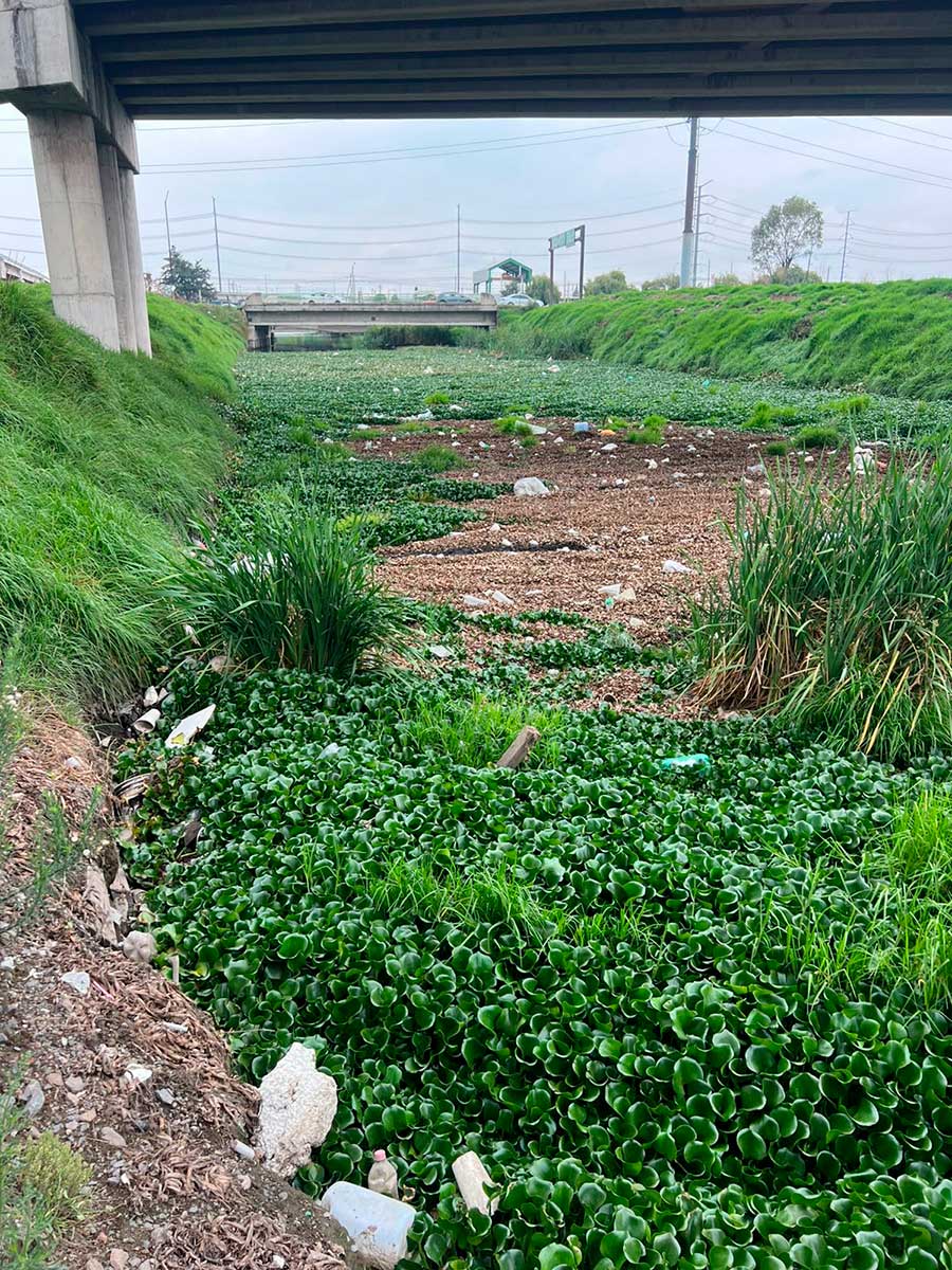 San Mateo Atenco realiza limpieza en el río Lerma.