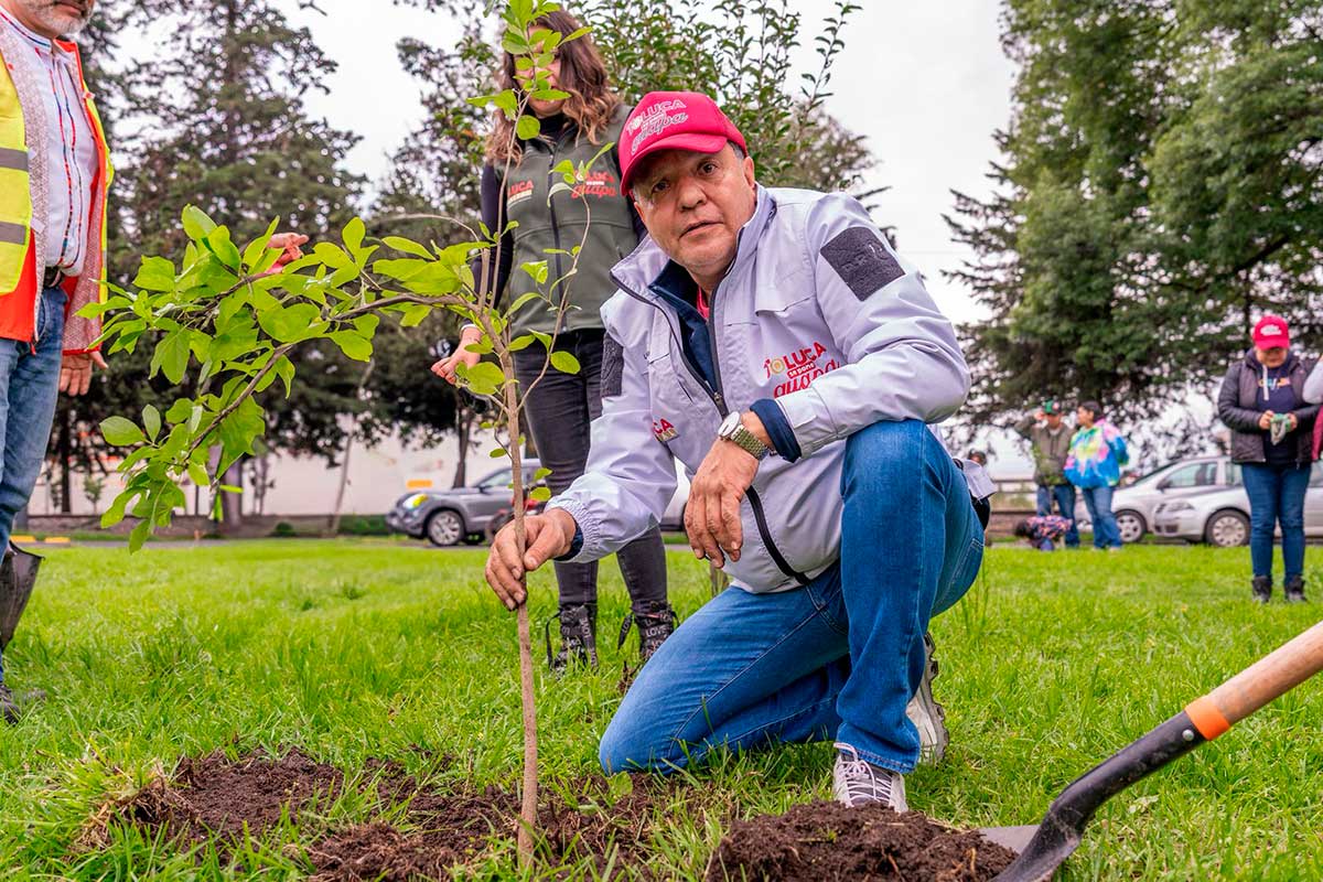 Toluca inicia histórica jornada de arborización con más de 1,500 árboles plantados