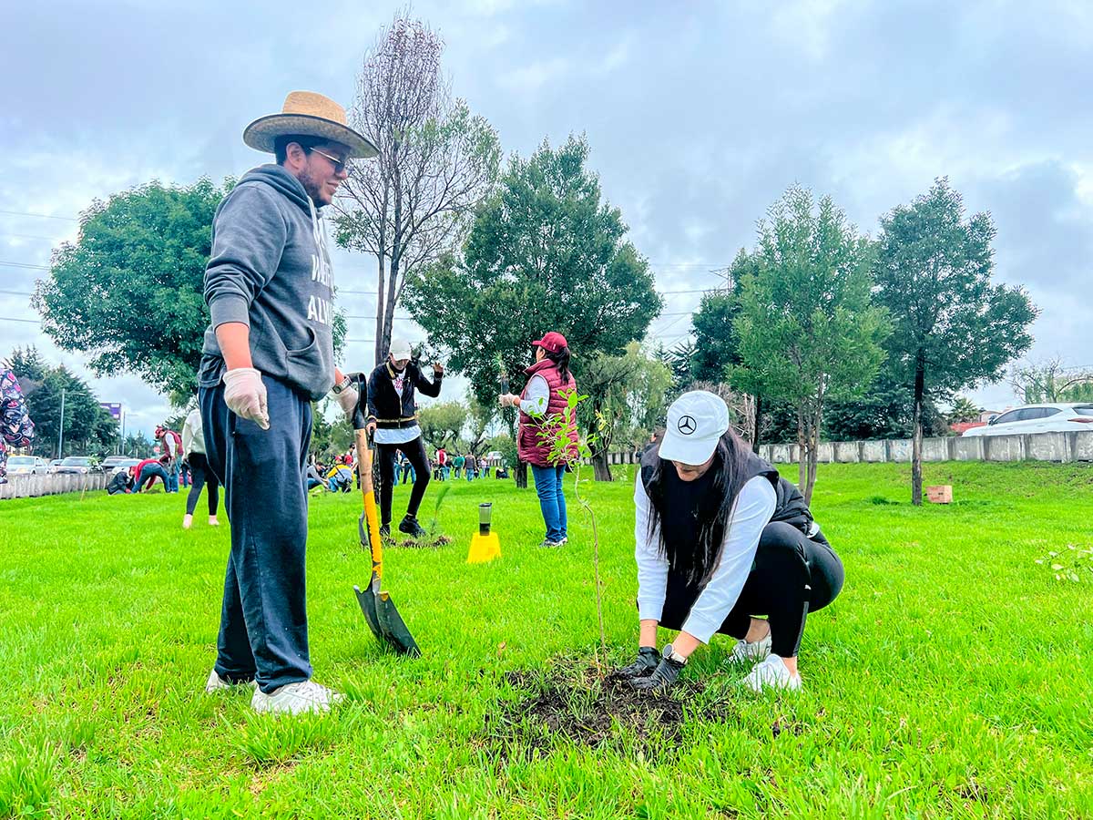 Jornada de arbolización en Toluca.