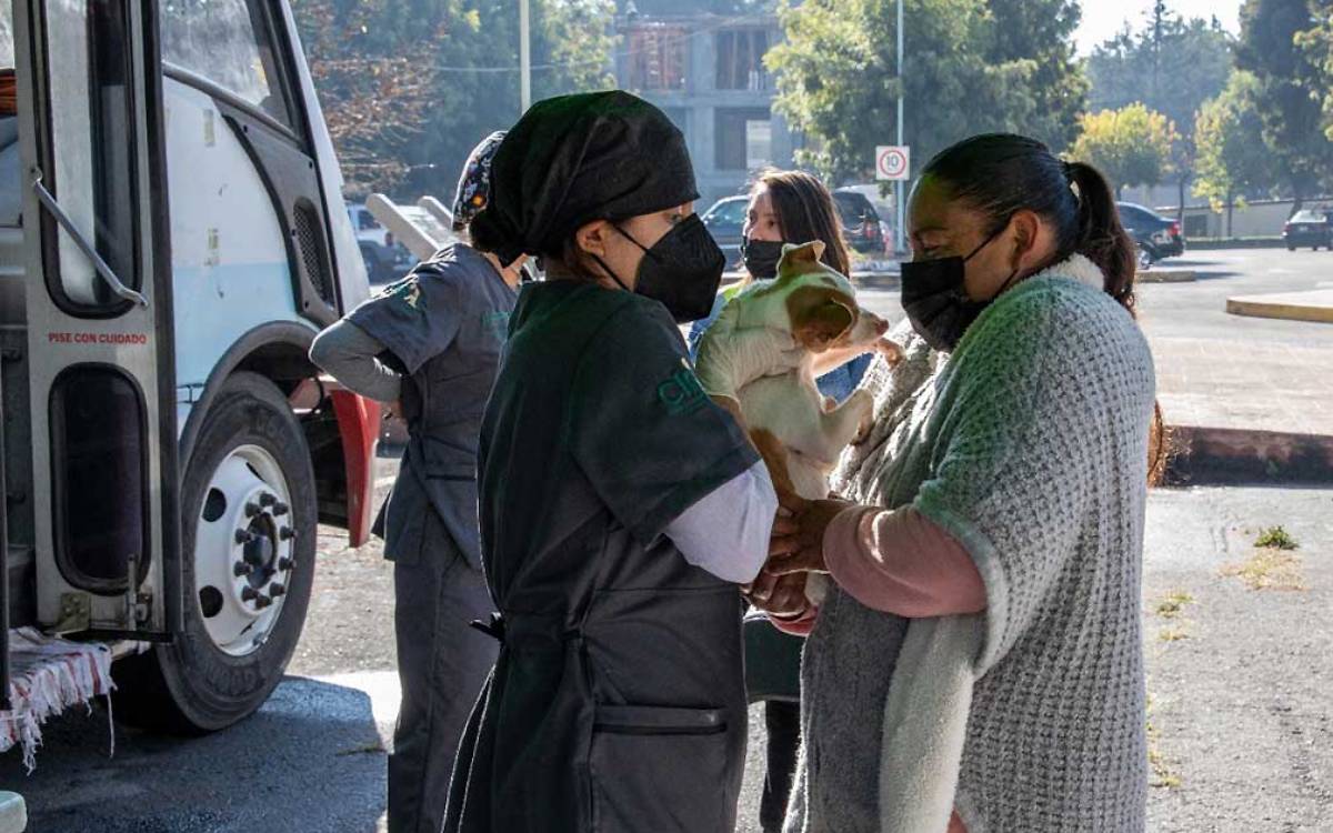 UAEMéx abre citas para campaña gratuita de esterilización