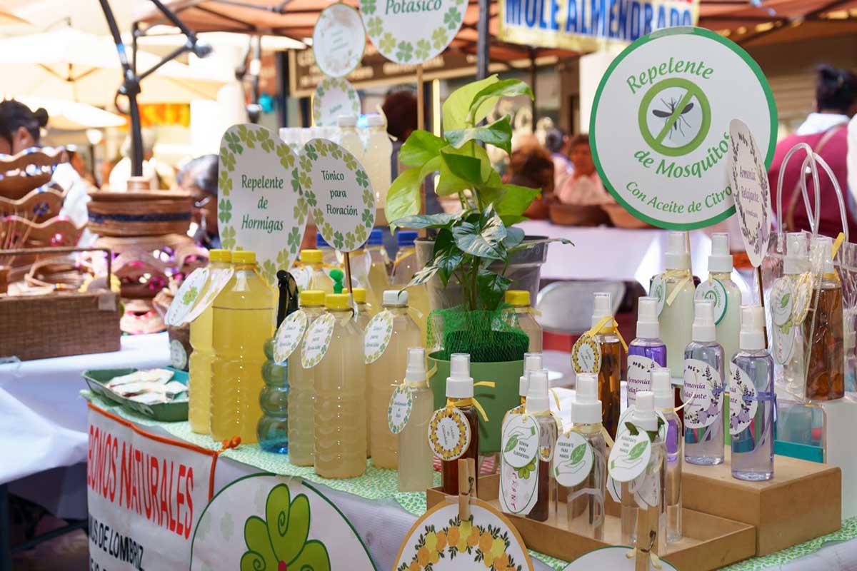 EcoBazar DIF Toluca regresa el lunes 28 de julio con más de 30 productores locales