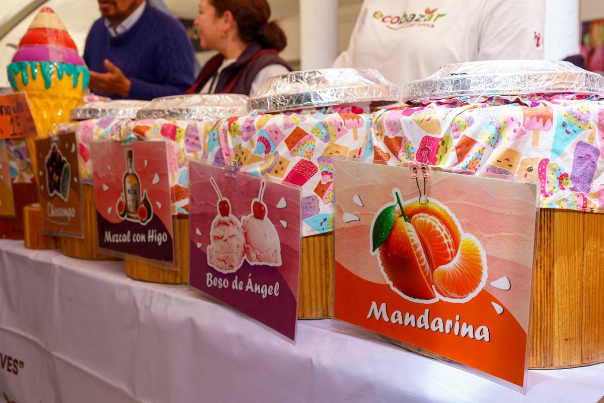 Productos del EcoBazar DIF Toluca.