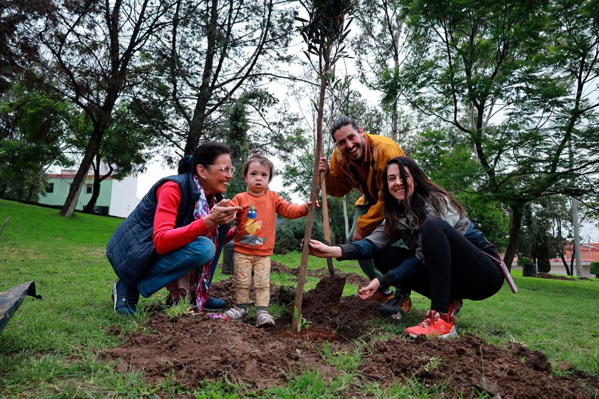 Huixquilucan avanza en reforestación con más de 10 mil árboles plantados en temporada de lluvias