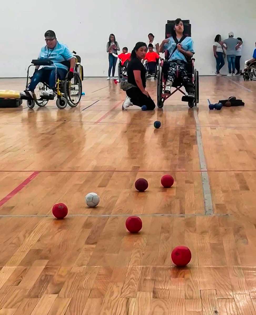 IDEMEX invita a participar de su curso "Verano Inclusivo".