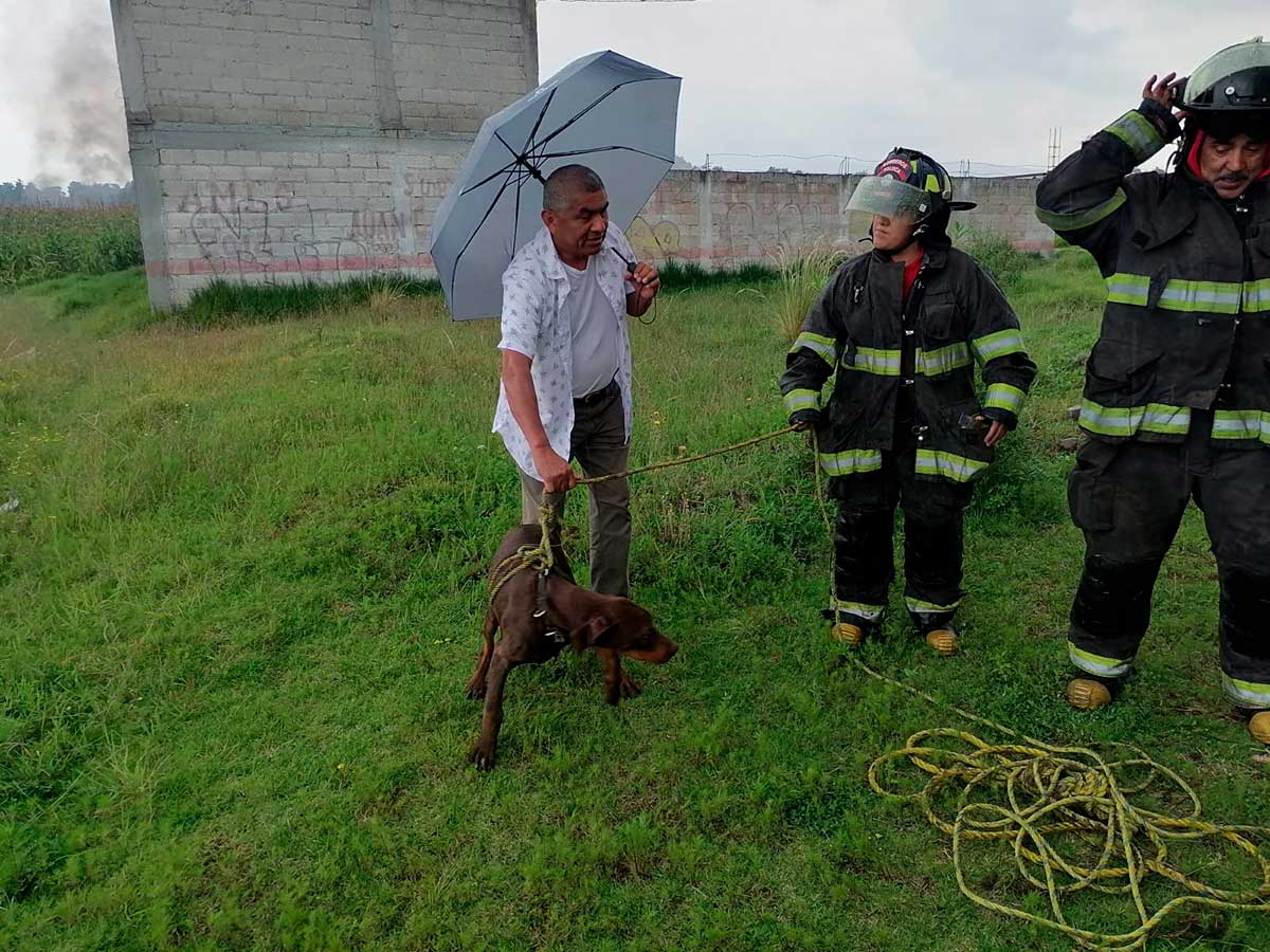 Bomberos de Toluca rescatan a perrito en un pozo.