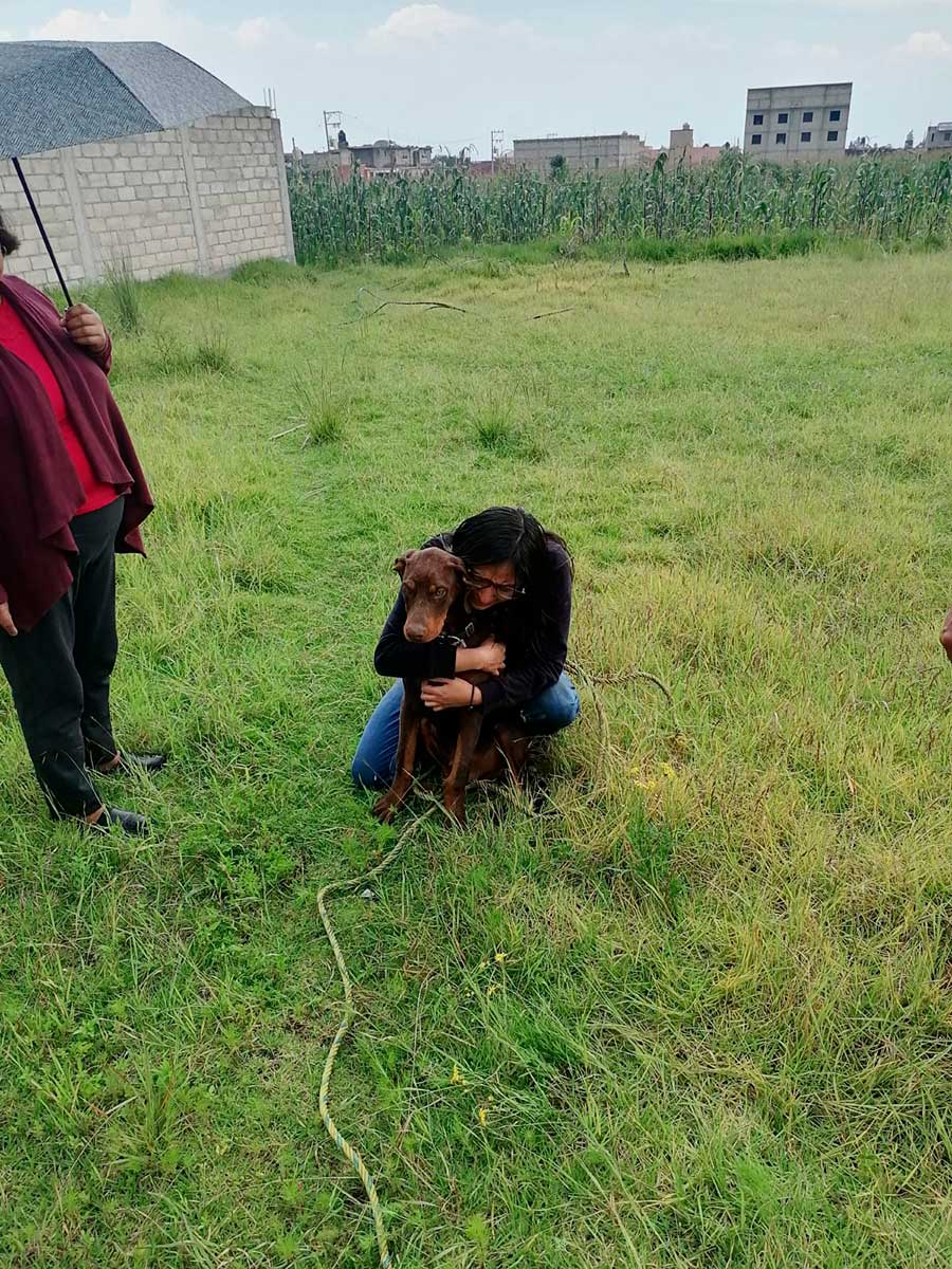 Bomberos de Toluca rescatan a perrito en un pozo.