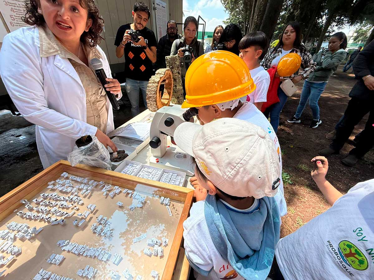 “Bosque Escuela”: proyecto ambiental en el Edoméx para educar a la niñez