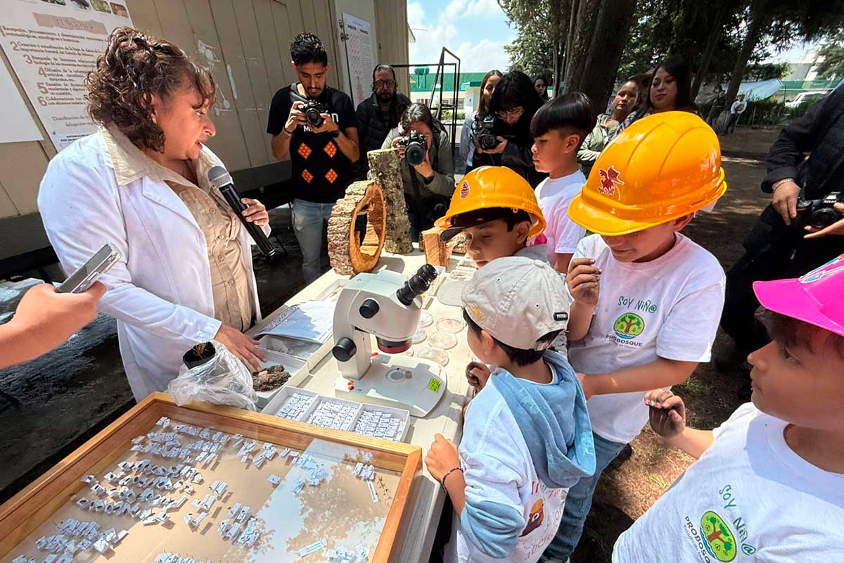 Edoméx lanza programa para educar a los niños sobre el cuidado del  medio ambiente y la naturaleza.