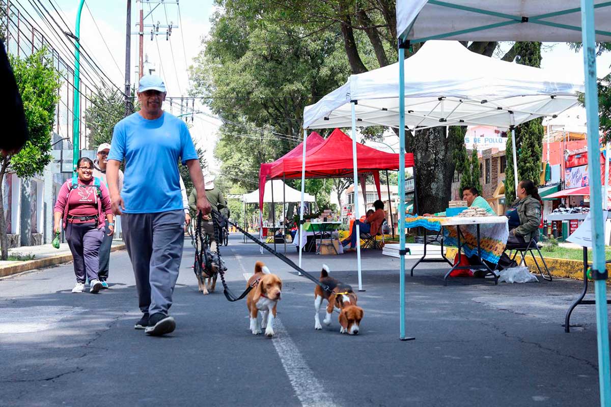 Toluca fomenta la convivencia familiar y el deporte con la nueva Ruta Recreativa en Paseo Colón.