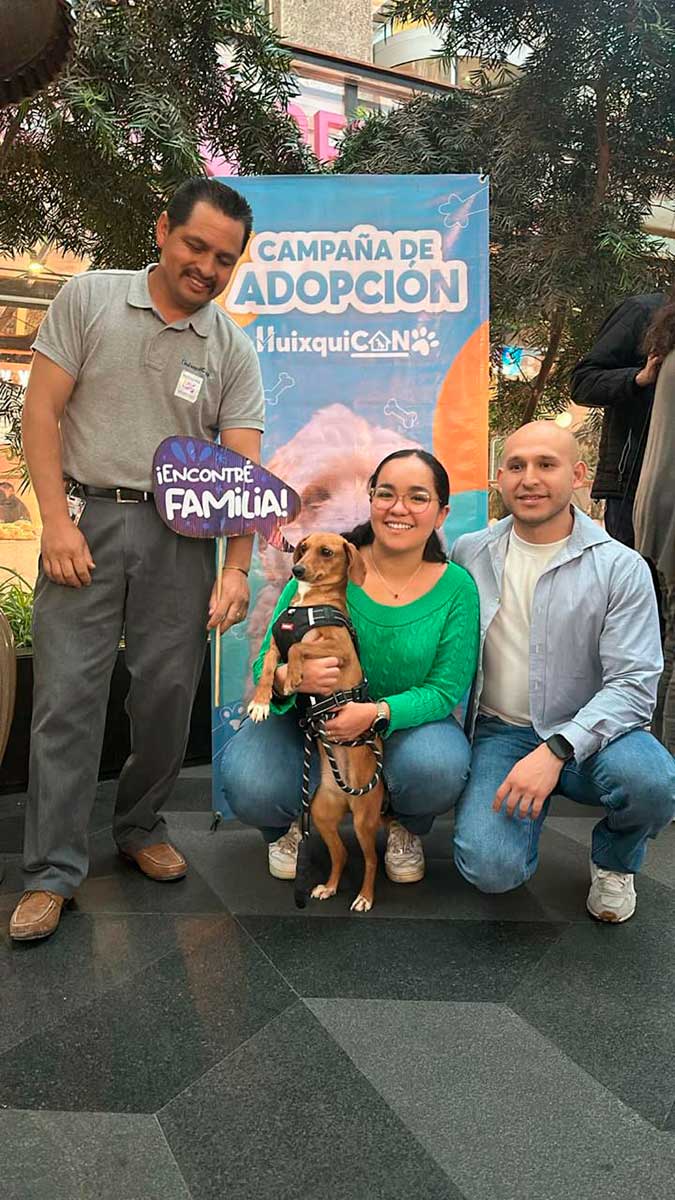Huixquilucan impulsa la cultura de la adopción y cui9dado de perritos.