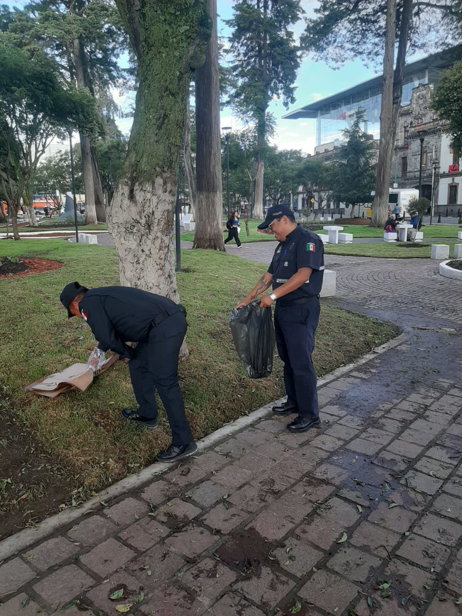 Cuidados de parques en Toluca.