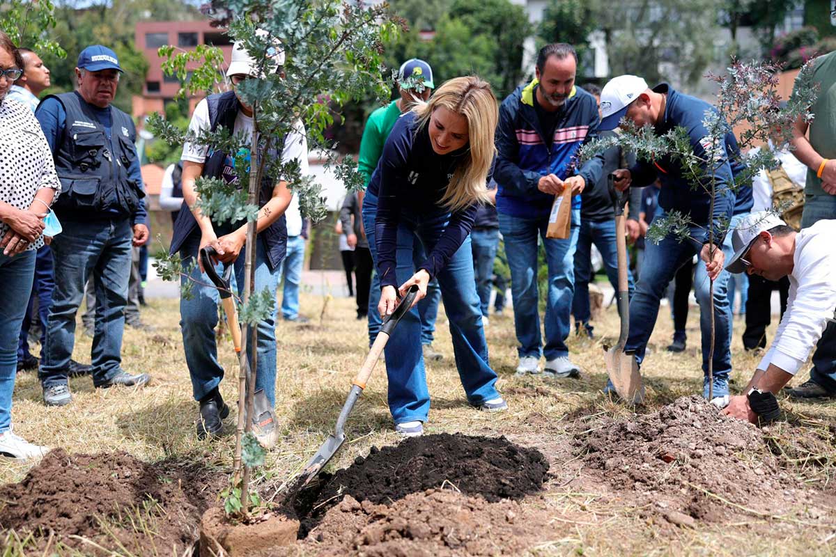 Huixquilucan continúa reforestación de "El Capulín".