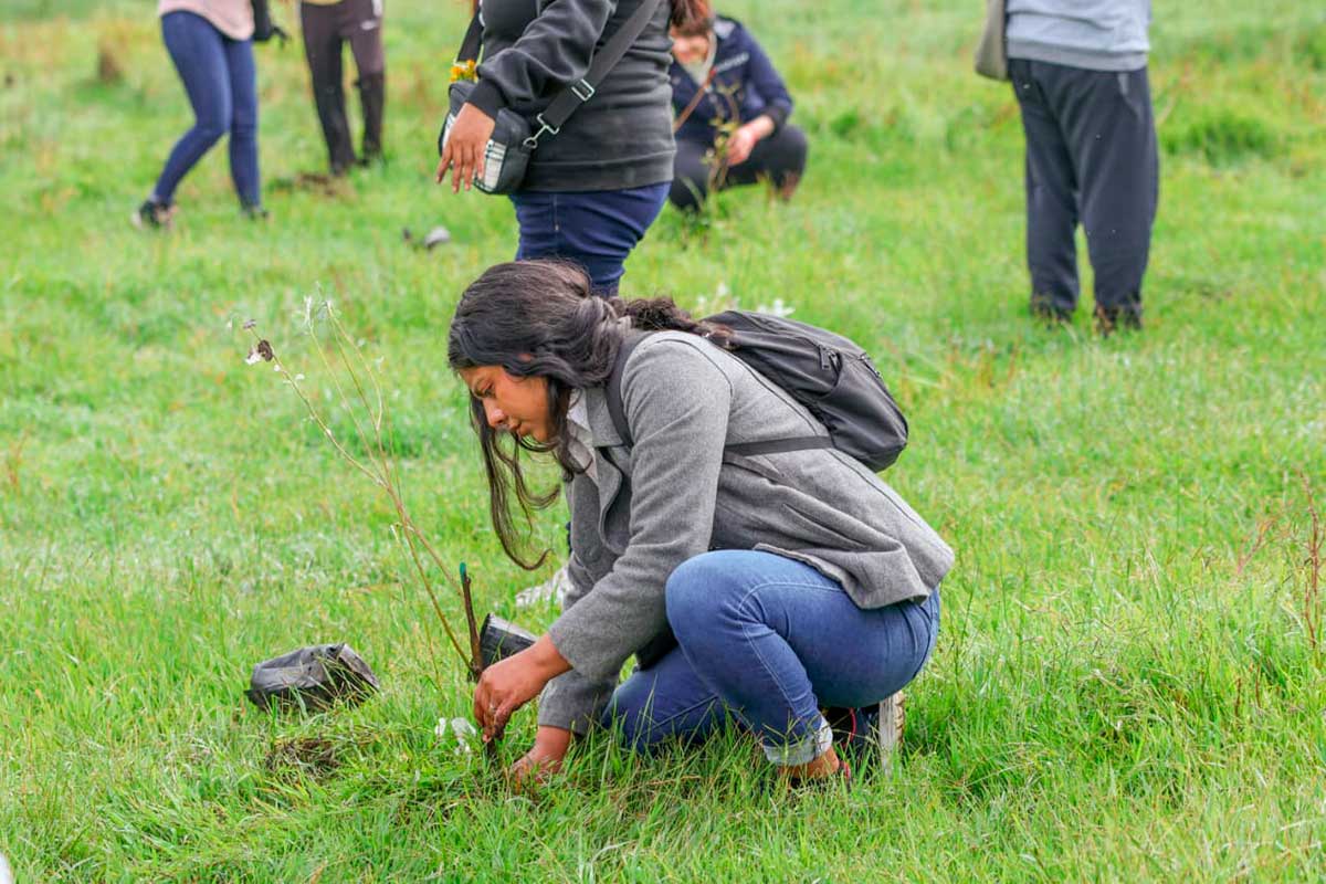 Toluca planta más de 112 mil árboles en 2025 para fortalecer sus pulmones verdes