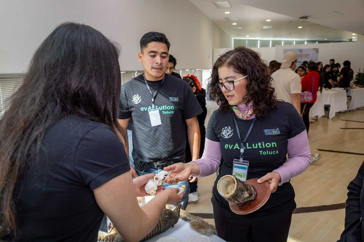 Actividades en el UAEMéx.