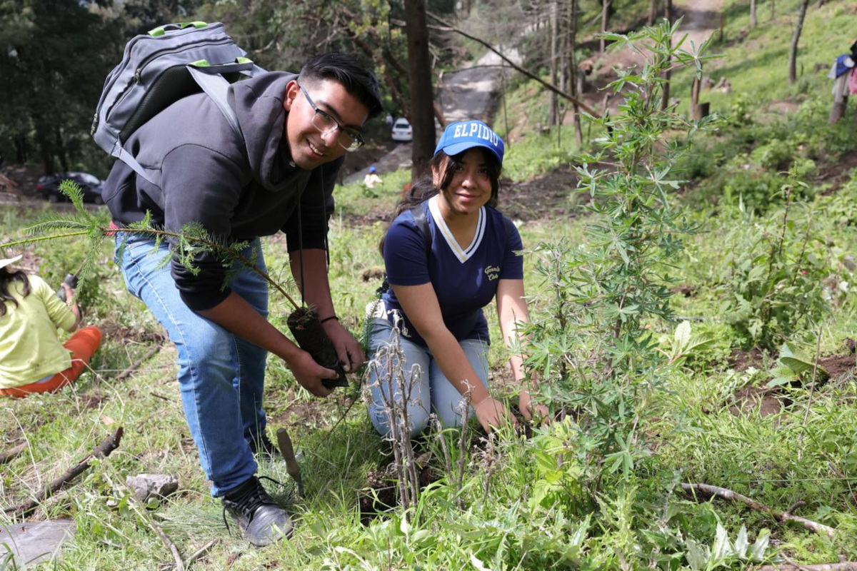 Reforestación en Huixquilucan.