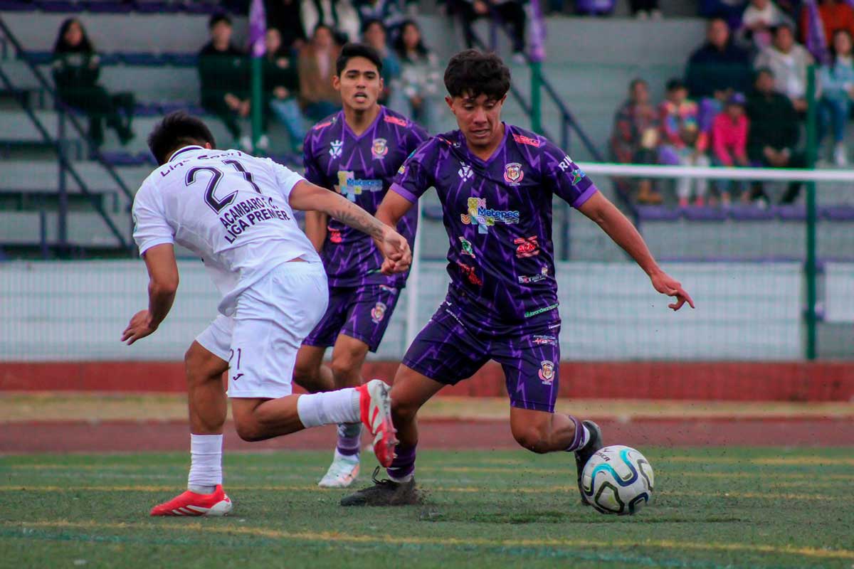 Artesanos de Metepec.