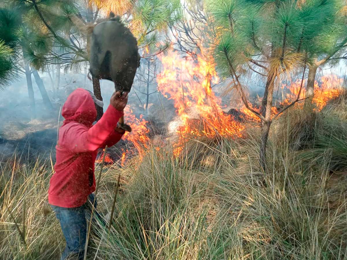 Toluca implementa operativos forestales.