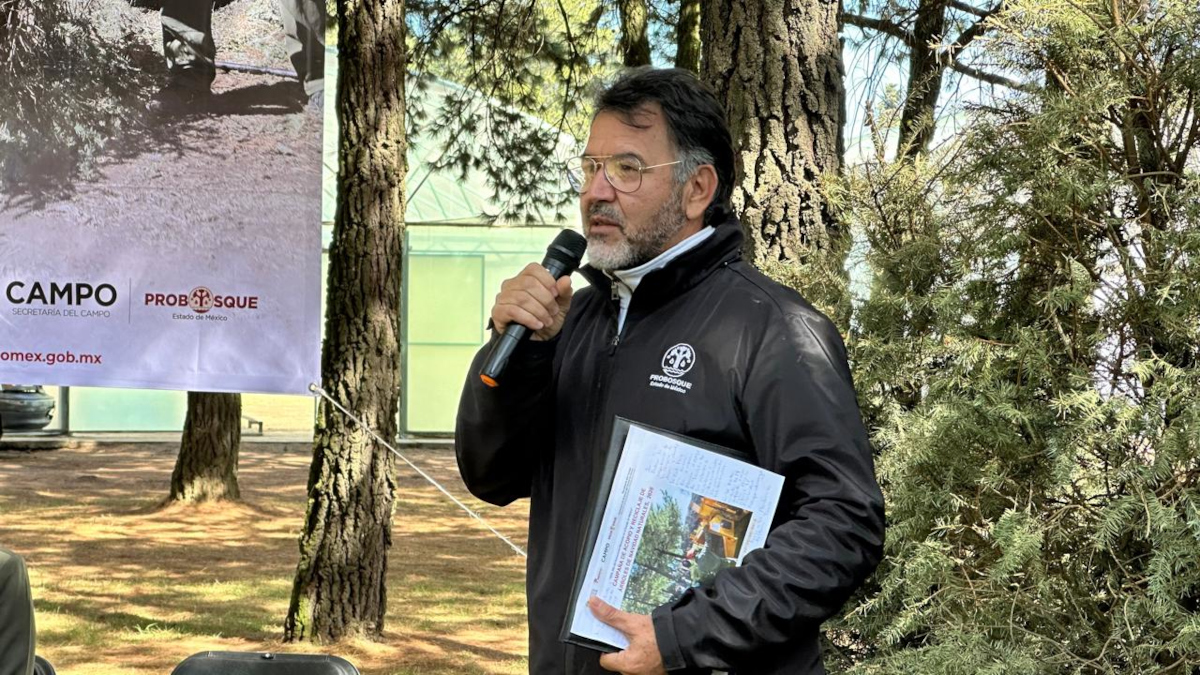 Informan los lugares de los centros de acopio para reciclar árboles naturales de navidad en el Edomex.