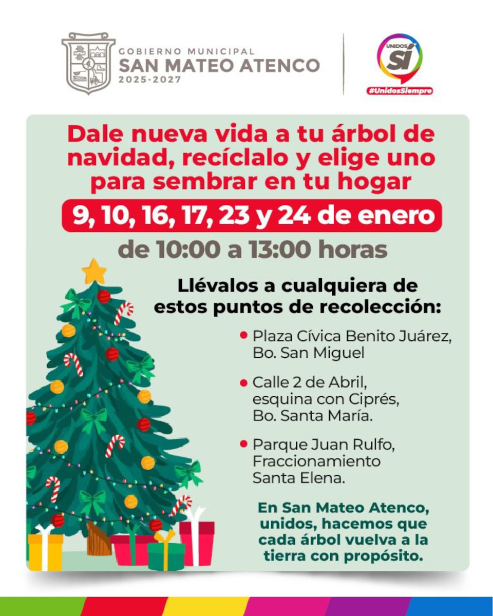 San Mateo Atenco llama a resiclar árboles naturales de navidad.