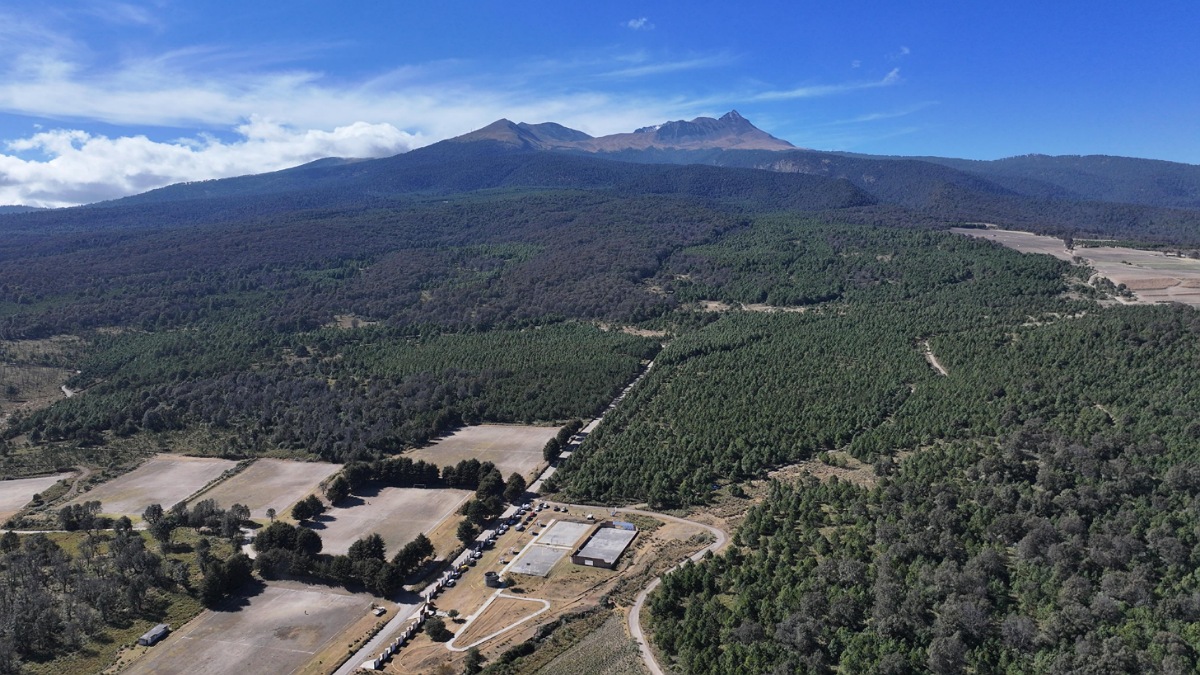 Alcalde de Toluca, Ricardo Moreno, impulsa acciones ecológicas en el Nevado de Toluca.