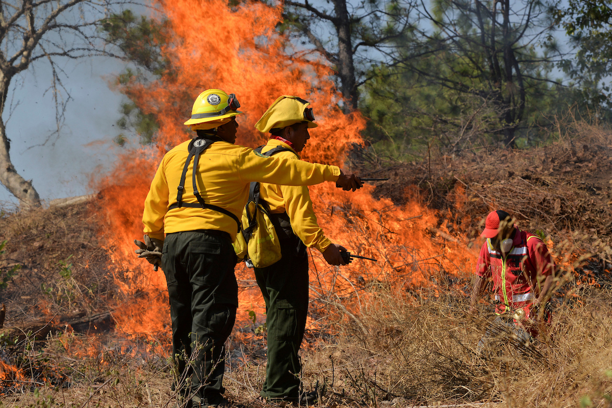 Incendios forestales en lle EDOMEX.