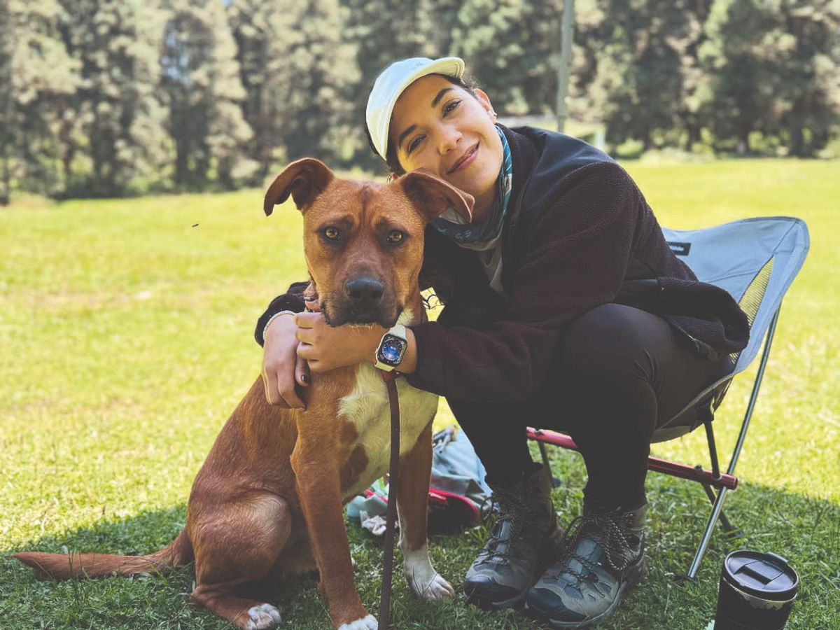 Más de 110 animales rescatados encontraron hogares amorosos en Toluca durante 2025