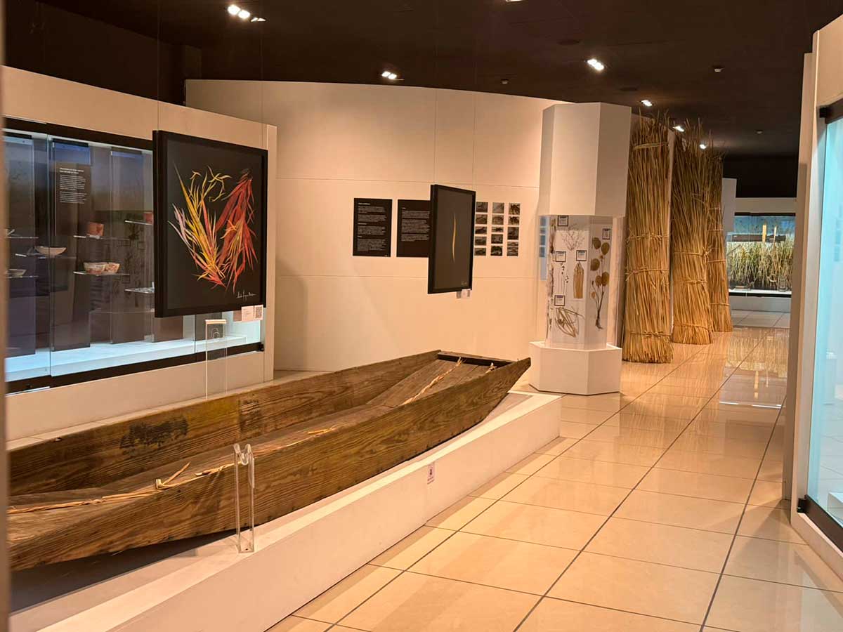 Sal de Exposiciones de las Culturas Lacustres en San Mateo Atenco.