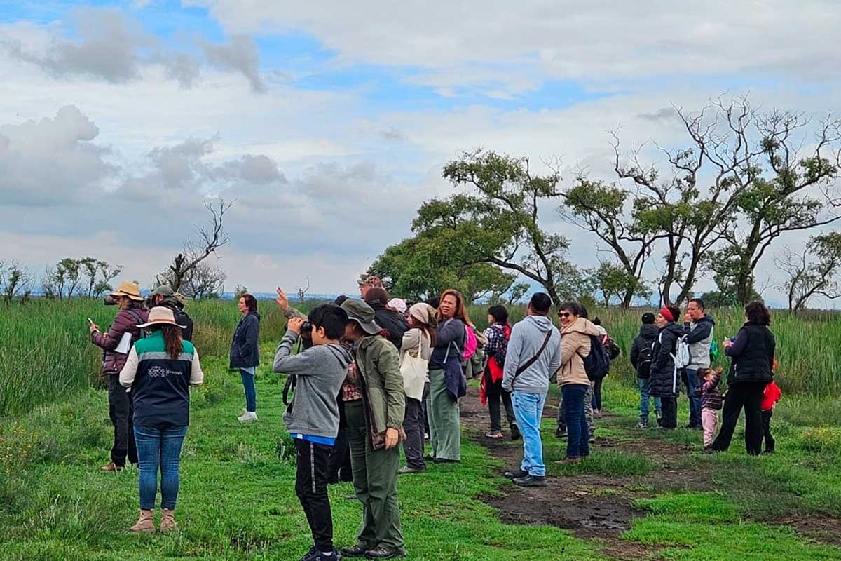 Descubre las aves del Valle de Toluca en el Parque Matlazincas: invita Gobierno del EdoMéx a jornada de avistamiento